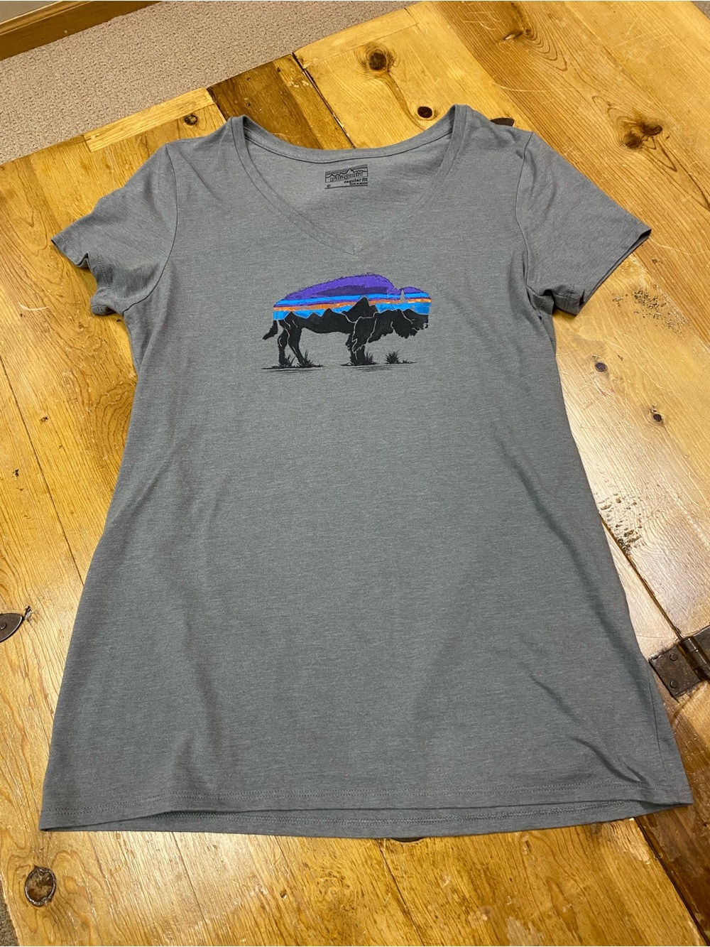 Patagonia Women's Fitz Roy Bison Graphic V-Neck Tee.  Regular fit Small.